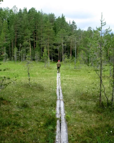 Kansanedustaja vaatii: Kalevalainen j&auml;senkorjaus ja kuppaus julkiseen terveydenhoitoon