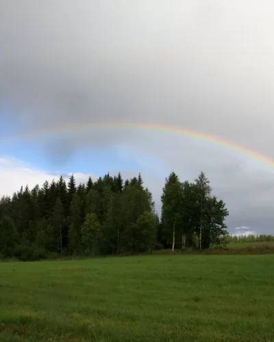 Perinteest&auml; terveydenhuoltoomme uutta pontta - Osmo H&auml;nninen