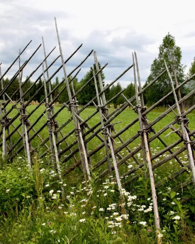 Voiko kalevalainen j&auml;senkorjaus toimia?