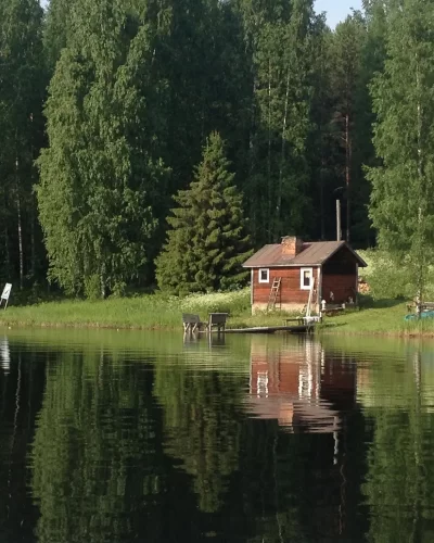 Kansanl&auml;&auml;kint&auml;&auml; ja kalevalaista j&auml;senkorjausta