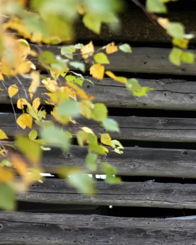 Kalevalaisesta j&auml;senkorjauksesta apua migreeniin