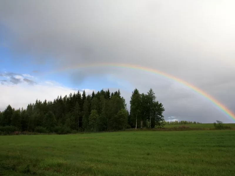 J&auml;senkorjaaja palauttaa kehon luonnolliseen tilaan